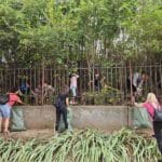 Почистване в Свищов