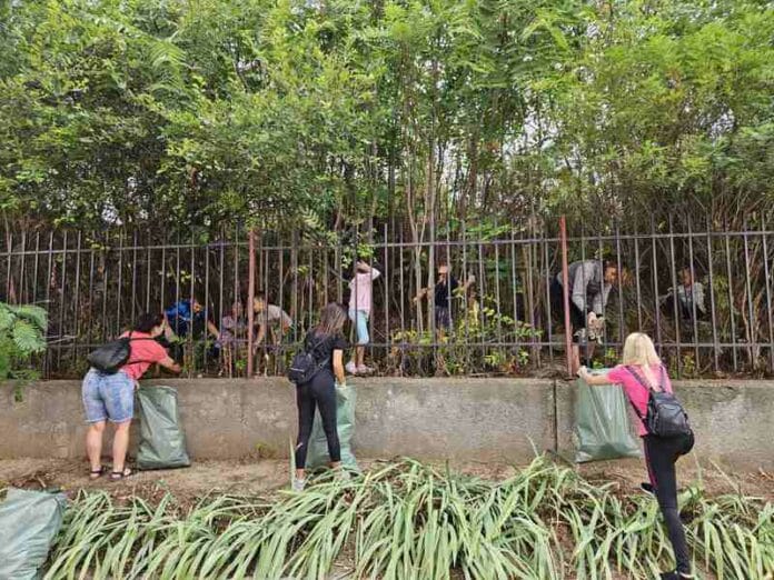 Почистване в Свищов