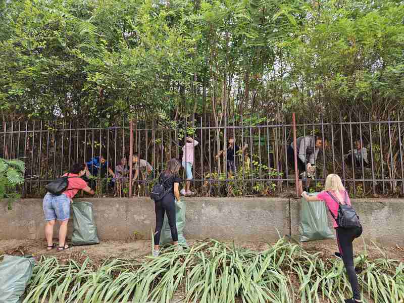 Днес служители на община Свищов и граждани се включиха в