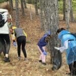 Почисване в област Кюстендил