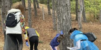 Почисване в област Кюстендил