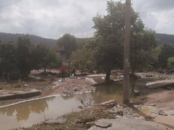 Помощ в Кости