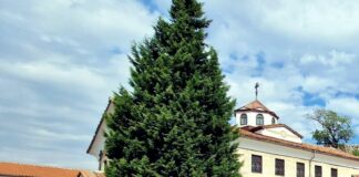 Демонстрация в подкрепа на арменците