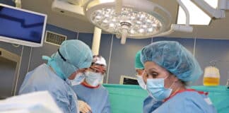 Чернодробна трансплантация