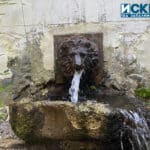 Лъвската чешма на Цар Фердинанд