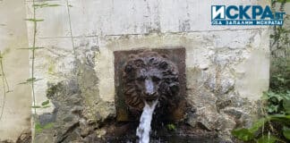 Лъвската чешма на Цар Фердинанд