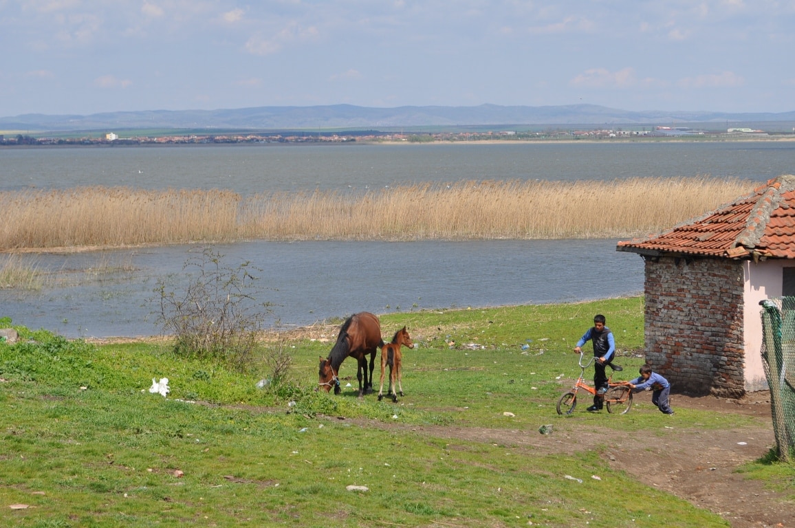 Трите министерства на труда и социалната политика на здравеопазването и