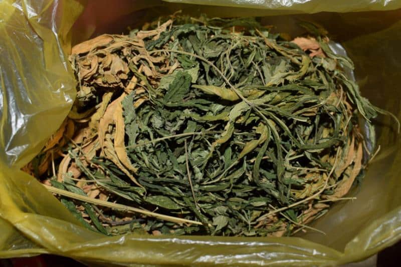 Над 160 грама марихуана са иззели от имот в село