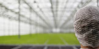 Екологично производство