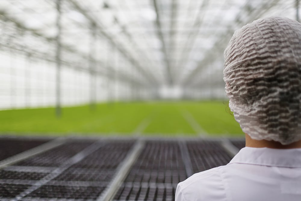 Близо 900 български фирми кандидатстваха по мярката от Националния план