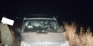 Бракониери