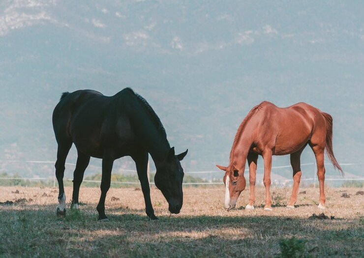 Работна среща за предотвратяване на пътни инциденти и унищожаване на