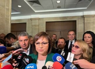 Корнелия Нинова