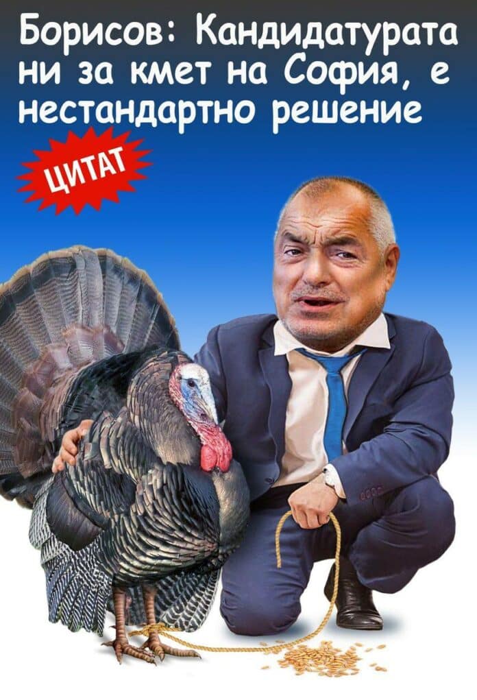 Мисирката на Боко