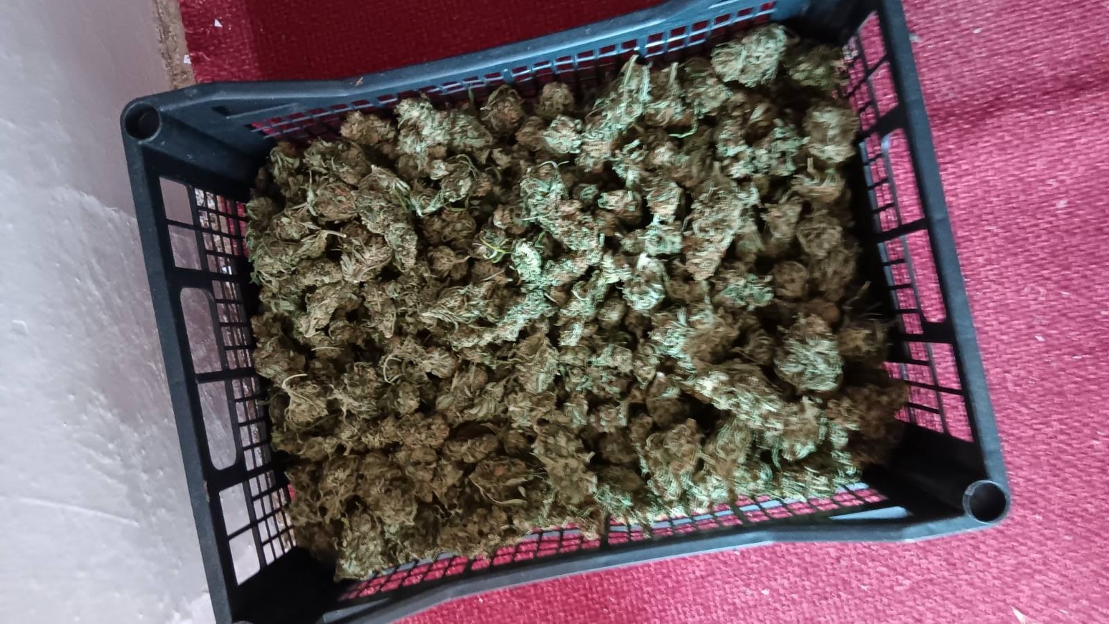 Продължават активните действия на служителите от ОДМВР Пазарджик в цялата област