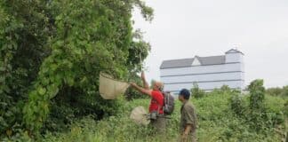 Експедиция