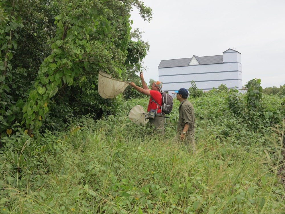 Екип учени от Националния природонаучен музей към Българската академия на