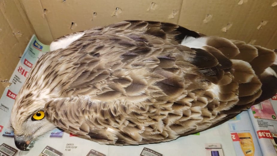 Регионалната инспекция по околната среда и водите в Плевен сезира