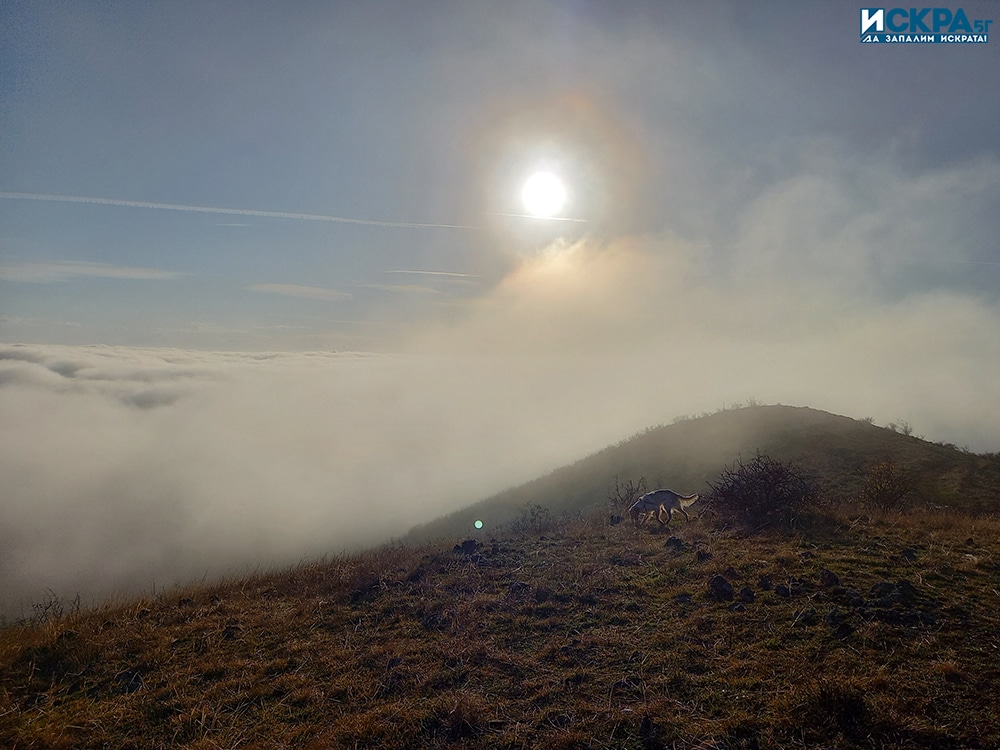 Времето в планините е ветровито и мъгливо а на много