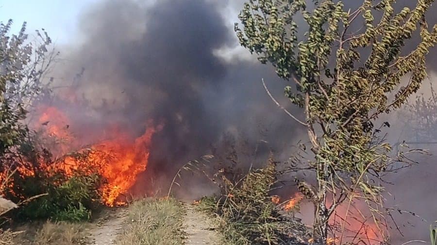 Пожар е горял вчера край варненското село Невша поради което