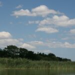 Блато "Алепу"