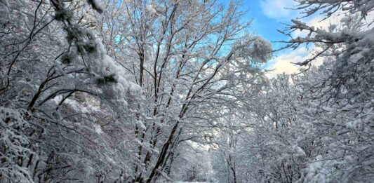 Сняг, зимна обстановка, снежна покривка