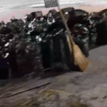 Чували с листа