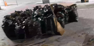 Чували с листа