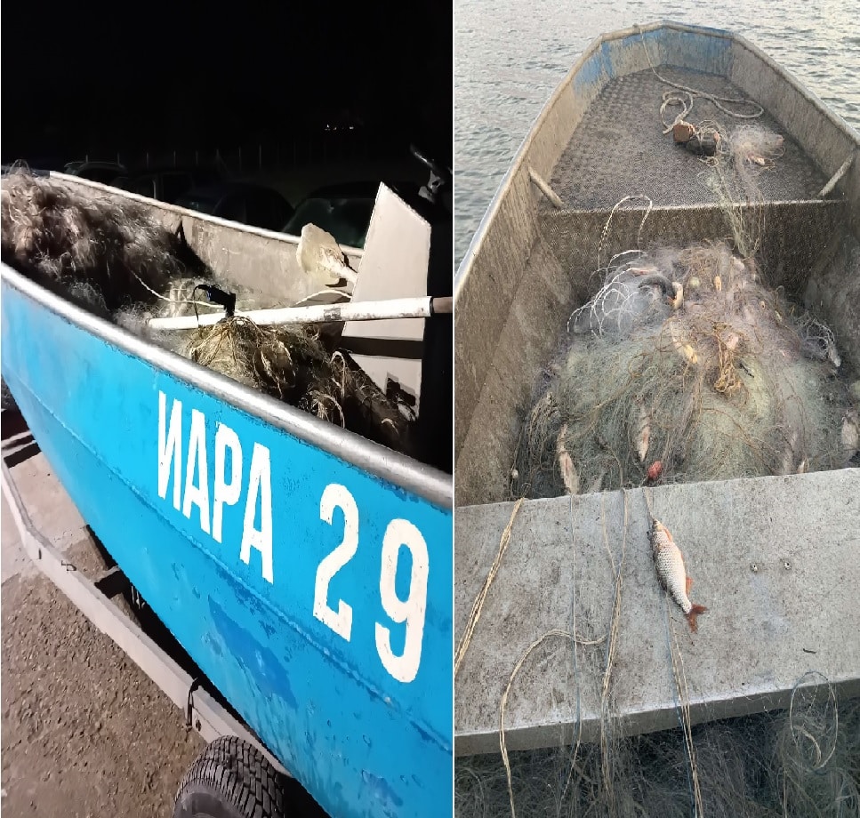 Изпълнителната агенция по рибарство и аквакултури ИАРА продължава с успешните