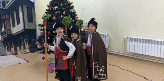 Коледарчета