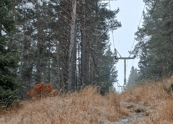 От Върховния административен съд ВАС са оставили в сила решение