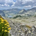 Малък Полежан