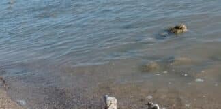 Морска мина