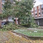 Обстановка в Разградско