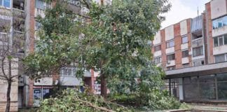 Обстановка в Разградско