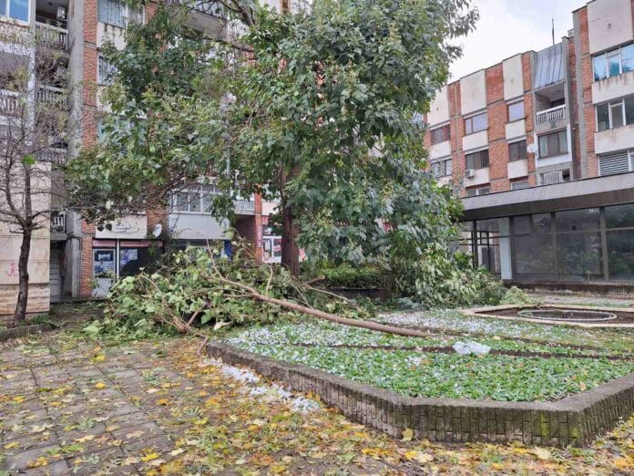 Обстановка в Разградско