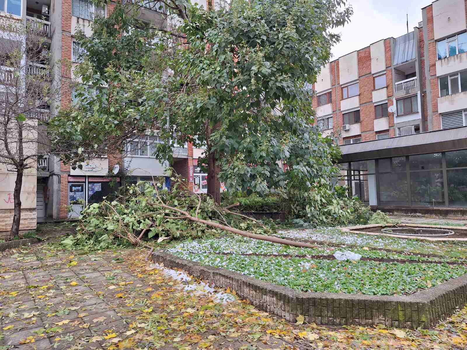 Областният управител на Разград следи зимната обстановка съобщиха от пресцентъра