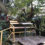 Паднали дървета