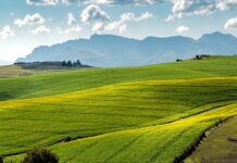 Земеделие, нива