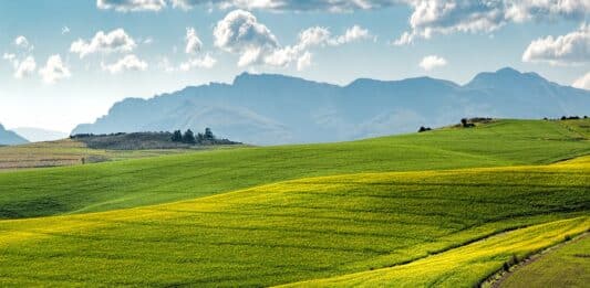 Земеделие, нива