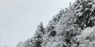 Снегопочистване