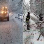 Сняг, зимна обстановка