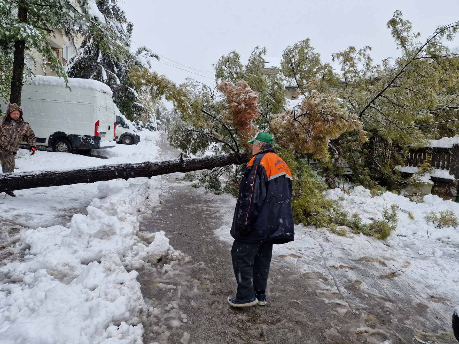Вижда се навсякъде че големите далекопроводи са изгнили и при