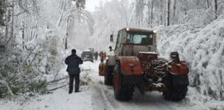 Сняг, зимна обстановка