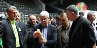 Кирил Вътев