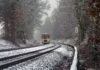 Влак, сняг, зима