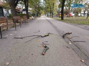 Буря във Видин