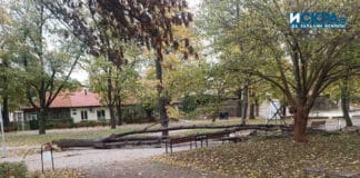 Буря във Видин