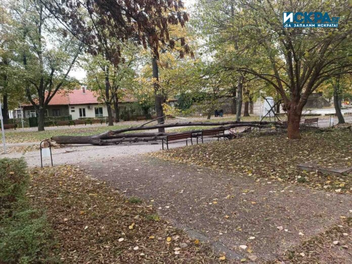 Буря във Видин