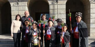 Коледарчета